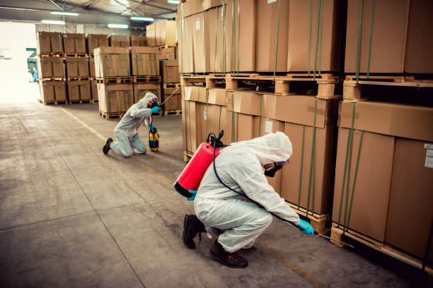 Best Pest Prevention Services  in Winchester, NV