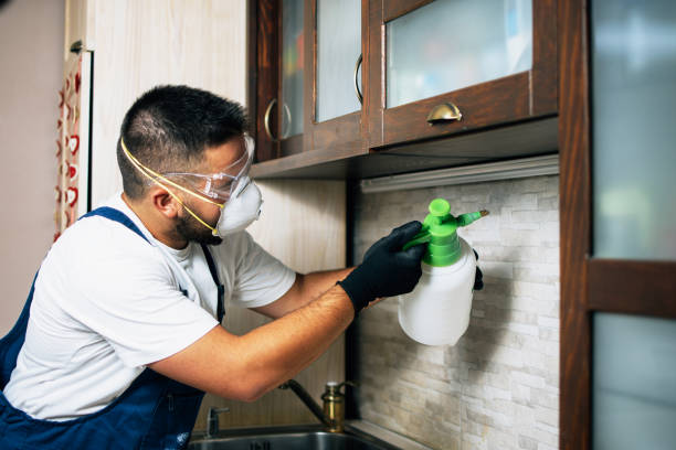 Pest Prevention Services in Winchester, NV