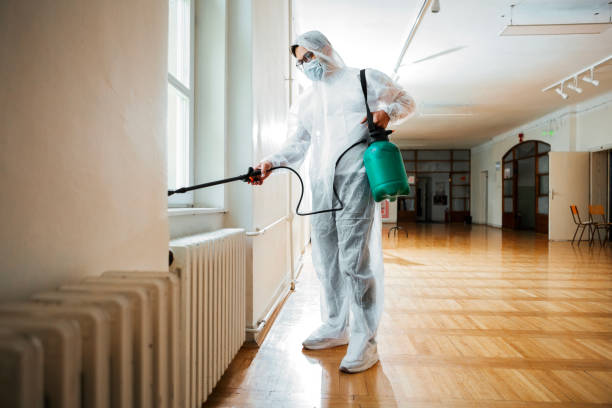 Best Flea Control Services  in Winchester, NV