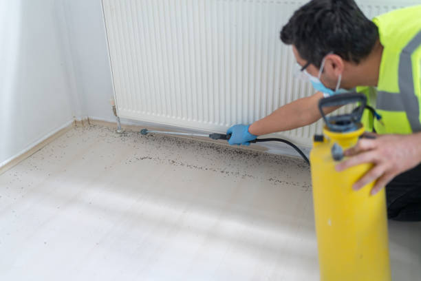 Pest Prevention Services in Winchester, NV