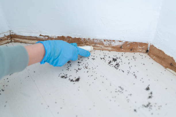 Best Commercial Pest Control Services  in Winchester, NV